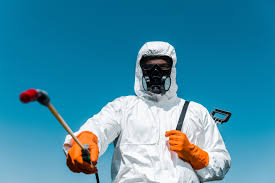 Emergency Pest Control in Lancaster, TX